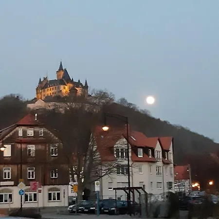 Koenig Daire Wernigerode